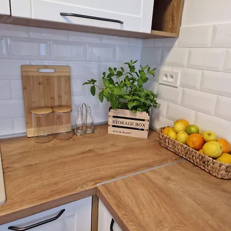 Rustic House Konfidenca ヴィラ