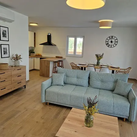 Rustic House Konfidenca Villa *